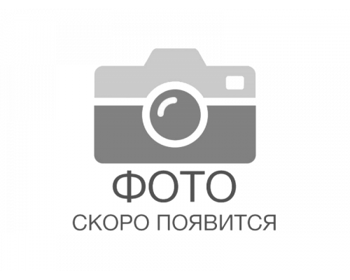 Плита поверочная  400x 400 (разметочная) гранит кл.точн.0 ЧИЗ ГОСТ10905-86  (№76927-19)